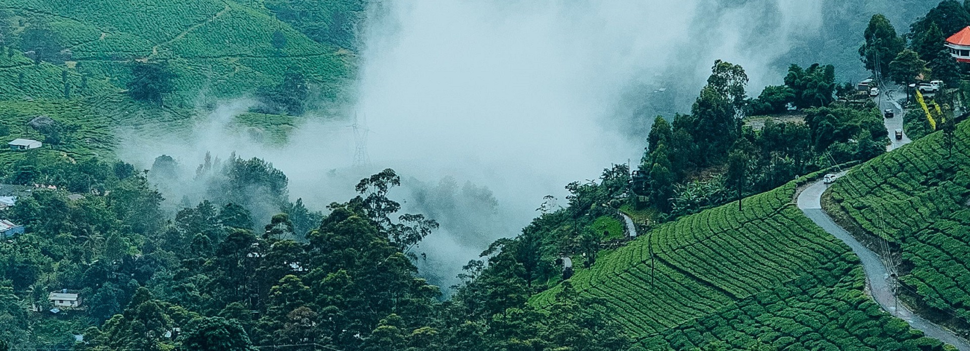 Mysuru | Ooty | Coorg